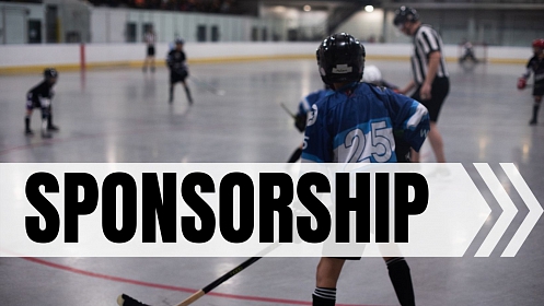 Interested in Sponsoring our League?
